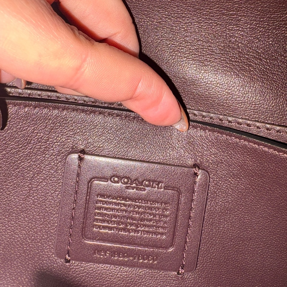 Coach Python Embossed Leather Chain Crossbody Sty… - image 3